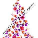 Colour:B