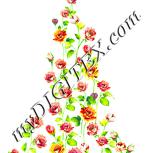 Colour:K