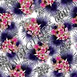 Colour:B