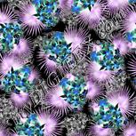 Colour:F