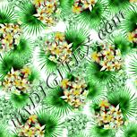 Colour:K
