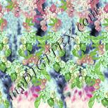 Colour:K