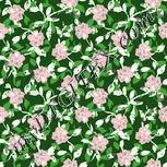 Colour:K