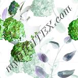 Colour:F
