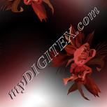 Colour:A