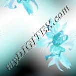 Colour:F