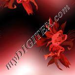 Colour:J