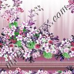 Colour:B