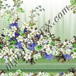 Colour:D