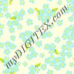Colour:K