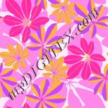 Colour:B