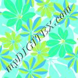 Colour:C