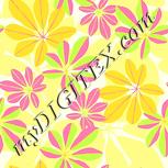 Colour:K