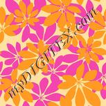 Colour:A