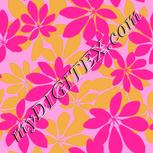 Colour:B