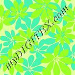 Colour:D