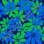 Colour:F