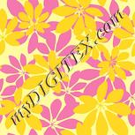 Colour:K