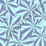 Colour:C