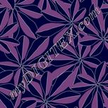 Colour:F