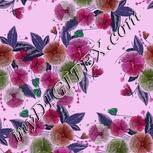 Colour:B