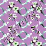 Colour:C
