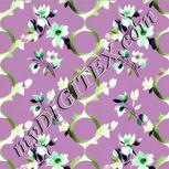 Colour:D