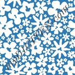 Colour:F