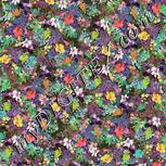 Colour:B