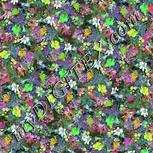 Colour:C