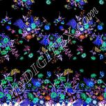Colour:F