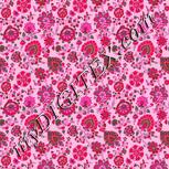 Colour:B