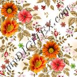 Colour:A