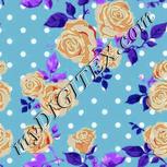 Colour:B