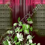 Colour:C