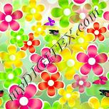 Colour:K
