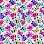 Colour:B