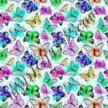 Colour:C
