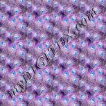 Colour:F
