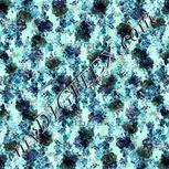 Colour:F