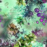 Colour:C