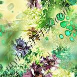 Colour:K