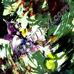 Colour:K