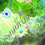Colour:C