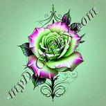 Colour:C