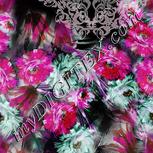 Colour:B