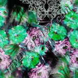 Colour:C