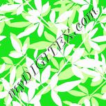 Colour:C