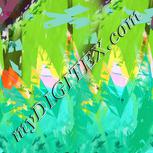 Colour:B