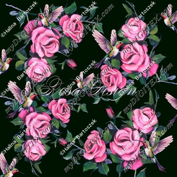 Roses and Hunmmingbirds